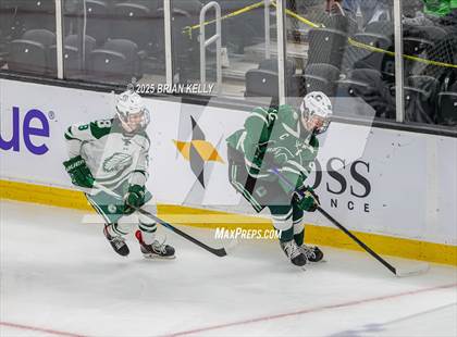 Thumbnail 2 in Billerica Memorial vs Canton (MIAA Division 2 Final) photogallery.
