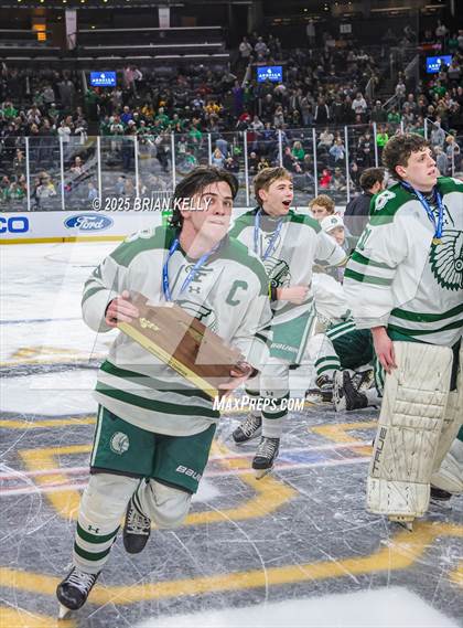 Thumbnail 1 in Billerica Memorial vs Canton (MIAA Division 2 Final) photogallery.