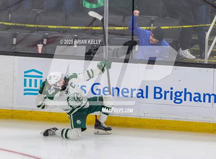 Thumbnail 1 in Billerica Memorial vs Canton (MIAA Division 2 Final) photogallery.