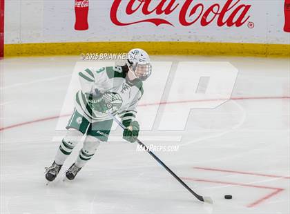 Thumbnail 3 in Billerica Memorial vs Canton (MIAA Division 2 Final) photogallery.