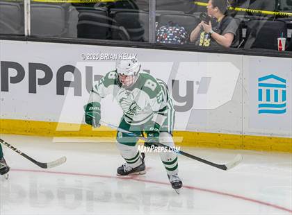 Thumbnail 1 in Billerica Memorial vs Canton (MIAA Division 2 Final) photogallery.