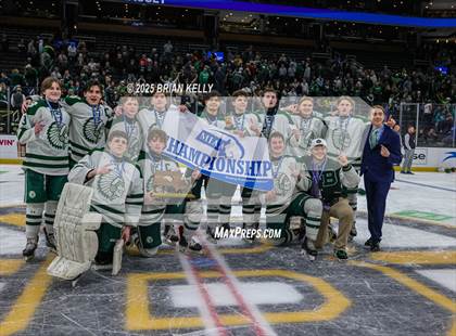 Thumbnail 2 in Billerica Memorial vs Canton (MIAA Division 2 Final) photogallery.