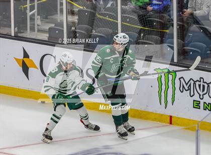 Thumbnail 3 in Billerica Memorial vs Canton (MIAA Division 2 Final) photogallery.