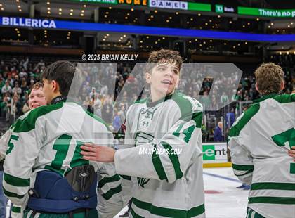 Thumbnail 1 in Billerica Memorial vs Canton (MIAA Division 2 Final) photogallery.