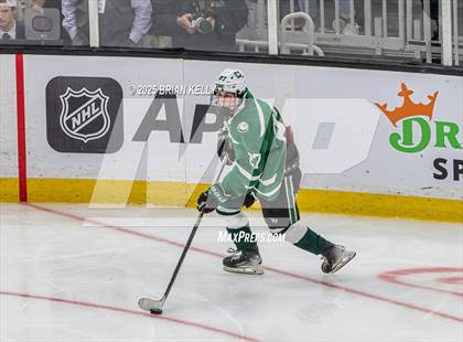 Thumbnail 3 in Billerica Memorial vs Canton (MIAA Division 2 Final) photogallery.