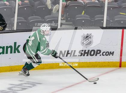Thumbnail 2 in Billerica Memorial vs Canton (MIAA Division 2 Final) photogallery.