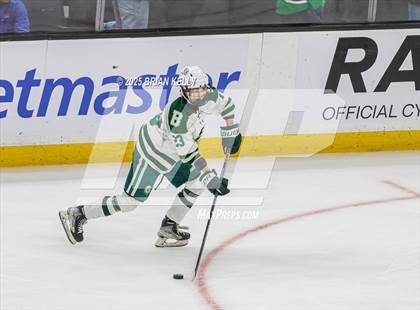 Thumbnail 3 in Billerica Memorial vs Canton (MIAA Division 2 Final) photogallery.