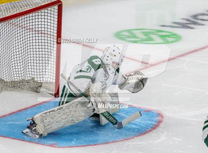 Thumbnail 1 in Billerica Memorial vs Canton (MIAA Division 2 Final) photogallery.