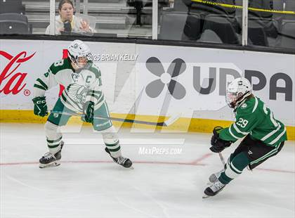 Thumbnail 2 in Billerica Memorial vs Canton (MIAA Division 2 Final) photogallery.