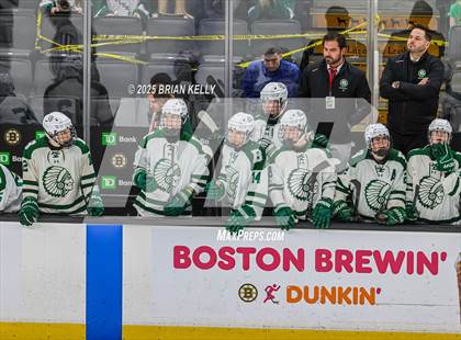 Thumbnail 2 in Billerica Memorial vs Canton (MIAA Division 2 Final) photogallery.