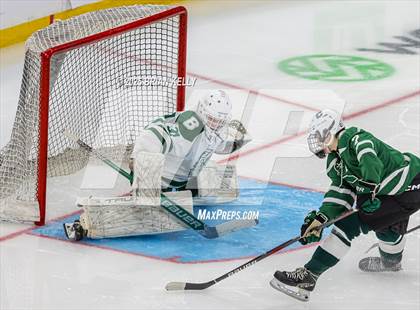 Thumbnail 2 in Billerica Memorial vs Canton (MIAA Division 2 Final) photogallery.