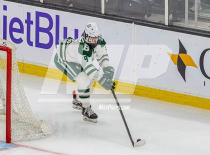 Thumbnail 3 in Billerica Memorial vs Canton (MIAA Division 2 Final) photogallery.