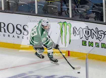 Thumbnail 1 in Billerica Memorial vs Canton (MIAA Division 2 Final) photogallery.