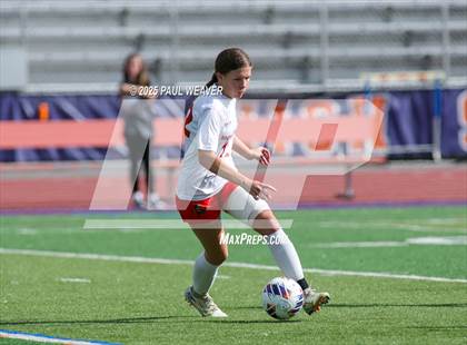 Thumbnail 3 in Montgomery vs. Southern Columbia Area (PIAA D4 1A Quarterfinal) photogallery.