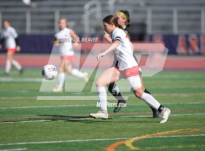 Thumbnail 2 in Montgomery vs. Southern Columbia Area (PIAA D4 1A Quarterfinal) photogallery.