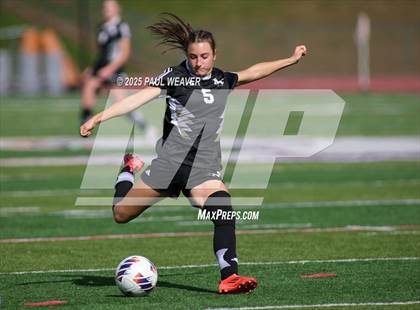 Thumbnail 3 in Montgomery vs. Southern Columbia Area (PIAA D4 1A Quarterfinal) photogallery.