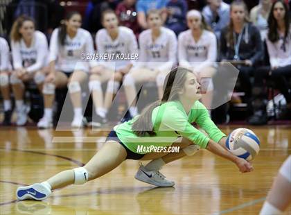 Thumbnail 2 in Sterling Heights Stevenson vs Dakota (MHSAA Regional Quarterfinal) photogallery.