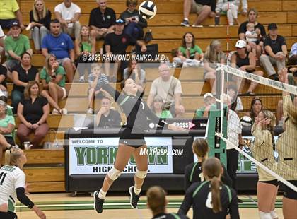Thumbnail 3 in Shelbyville @ Yorktown photogallery.