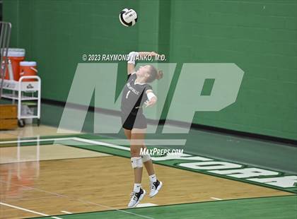 Thumbnail 3 in Shelbyville @ Yorktown photogallery.