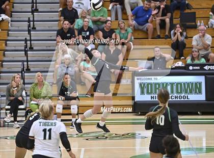 Thumbnail 2 in Shelbyville @ Yorktown photogallery.