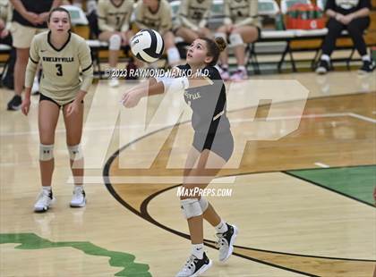 Thumbnail 3 in Shelbyville @ Yorktown photogallery.