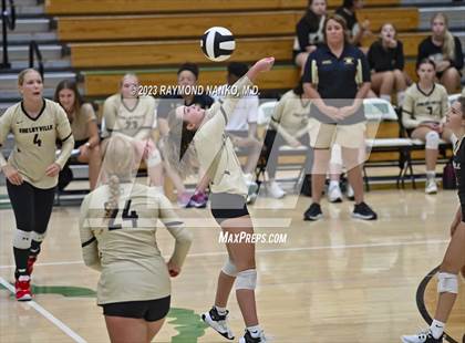 Thumbnail 1 in Shelbyville @ Yorktown photogallery.