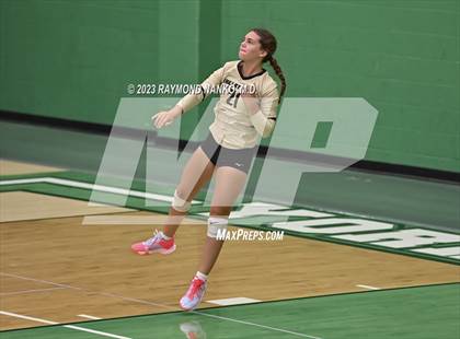 Thumbnail 1 in Shelbyville @ Yorktown photogallery.