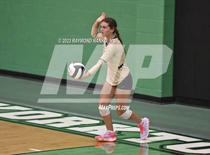 Thumbnail 1 in Shelbyville @ Yorktown photogallery.