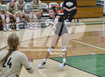Thumbnail 2 in Shelbyville @ Yorktown photogallery.