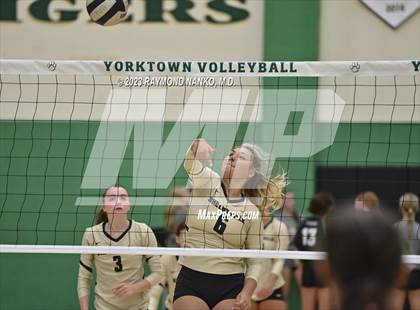 Thumbnail 3 in Shelbyville @ Yorktown photogallery.