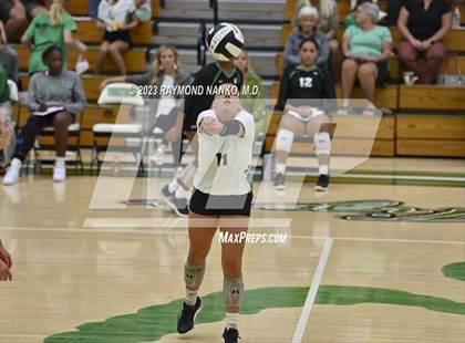 Thumbnail 1 in Shelbyville @ Yorktown photogallery.