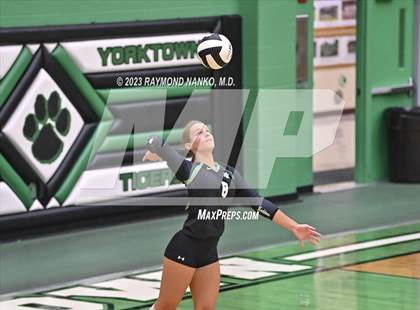 Thumbnail 3 in Shelbyville @ Yorktown photogallery.