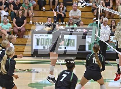 Thumbnail 2 in Shelbyville @ Yorktown photogallery.