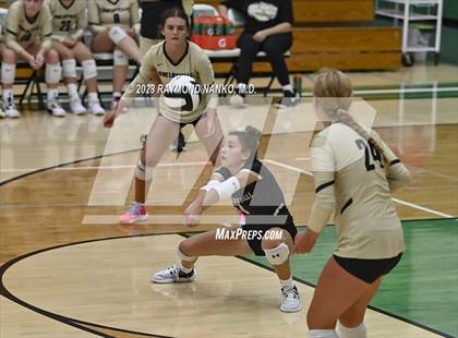 Thumbnail 2 in Shelbyville @ Yorktown photogallery.