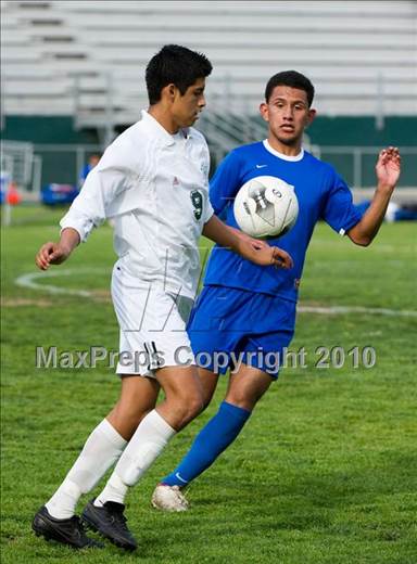 null - Photo 11