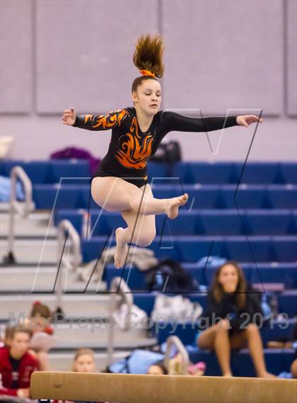 Thumbnail 2 in Multi-Team Meet @ Washington-Lee  photogallery.
