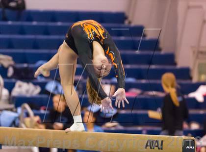 Thumbnail 2 in Multi-Team Meet @ Washington-Lee  photogallery.