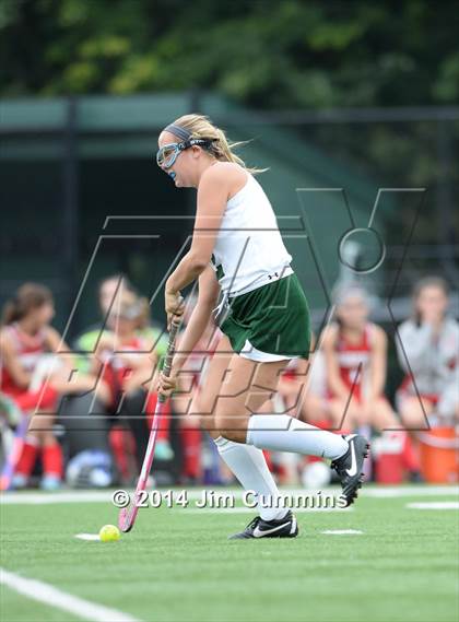 Thumbnail 2 in Deerfield @ Glenbard West photogallery.