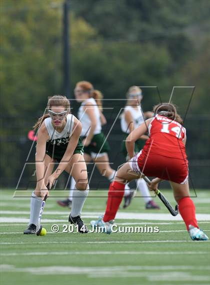 Thumbnail 2 in Deerfield @ Glenbard West photogallery.