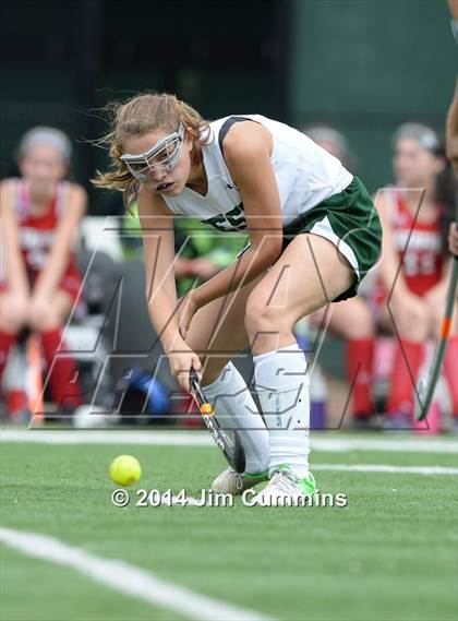 Thumbnail 2 in Deerfield @ Glenbard West photogallery.