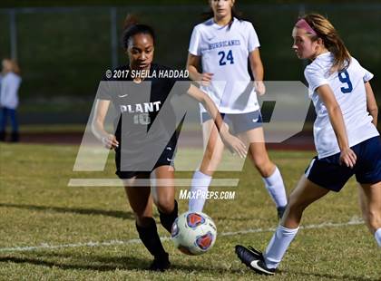Thumbnail 3 in Plant @ Palm Harbor University photogallery.