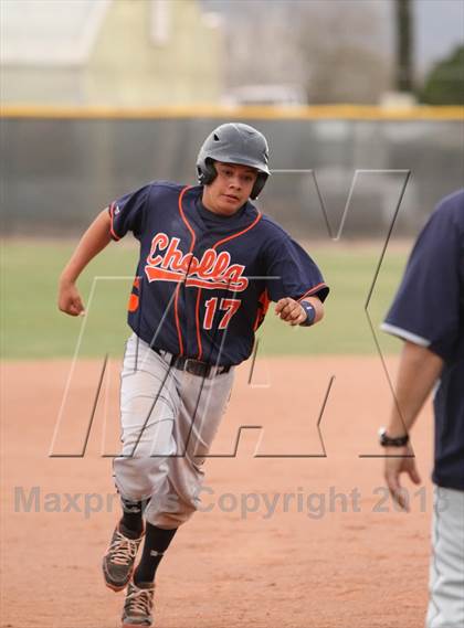 Thumbnail 2 in Cholla @ Flowing Wells photogallery.