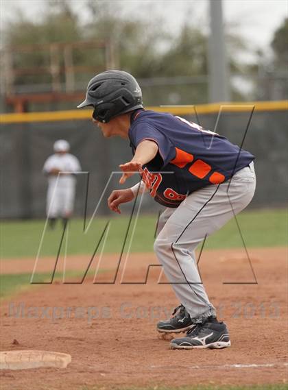 Thumbnail 2 in Cholla @ Flowing Wells photogallery.