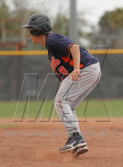 Thumbnail 1 in Cholla @ Flowing Wells photogallery.