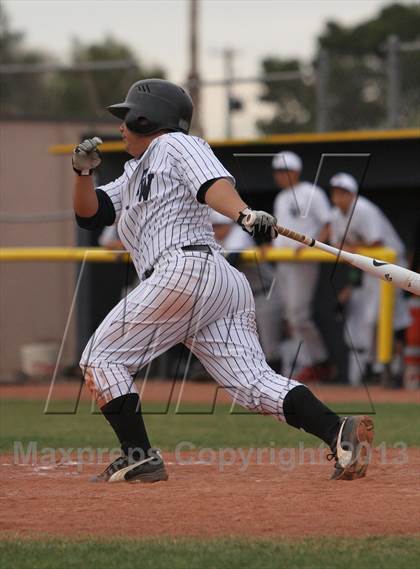 Thumbnail 2 in Cholla @ Flowing Wells photogallery.