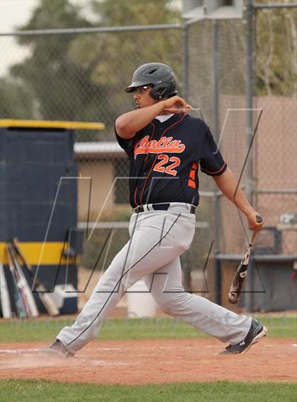 Thumbnail 2 in Cholla @ Flowing Wells photogallery.