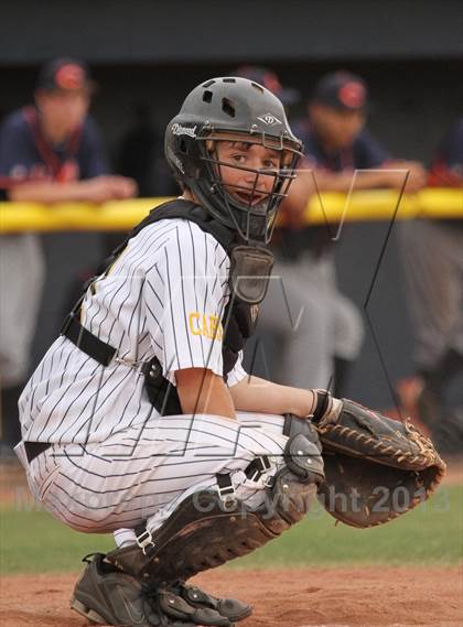 Thumbnail 1 in Cholla @ Flowing Wells photogallery.