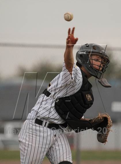 Thumbnail 3 in Cholla @ Flowing Wells photogallery.