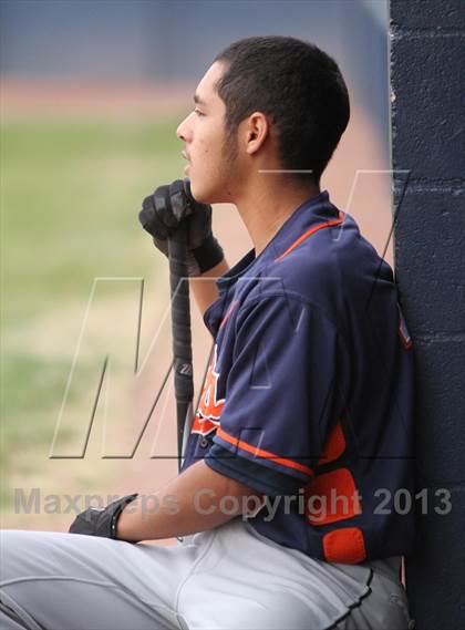 Thumbnail 1 in Cholla @ Flowing Wells photogallery.