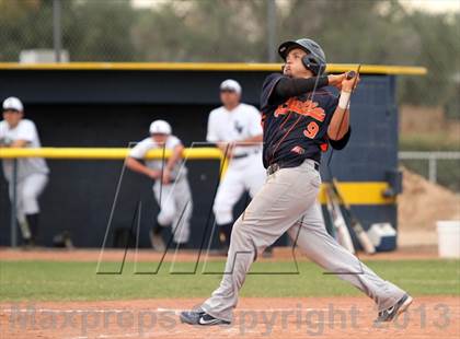 Thumbnail 1 in Cholla @ Flowing Wells photogallery.